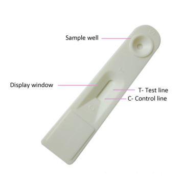 Servei OEM HCG Test de prova ràpida d’embaràs